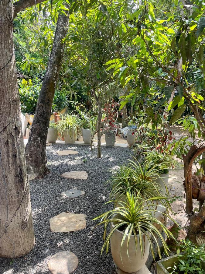 Jungle Escape Hiriketiya Hotel Dikwella Ngoại thất bức ảnh